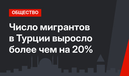 Число мигрантов в Турции выросло более чем на 20%