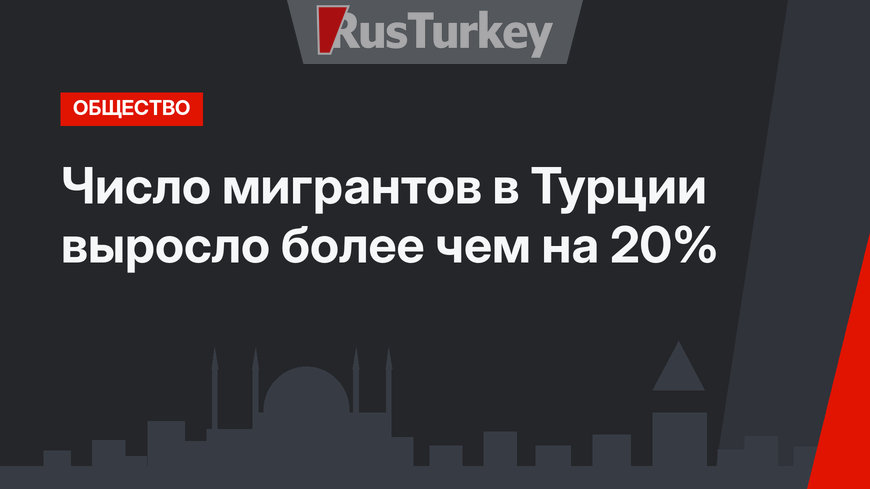 Число мигрантов в Турции выросло более чем на 20%