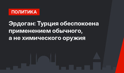 Эрдоган: Турция обеспокоена применением обычного, а не химического оружия