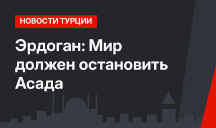 Эрдоган: Мир должен остановить Асада