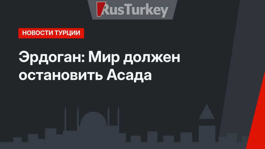 Эрдоган: Мир должен остановить Асада
