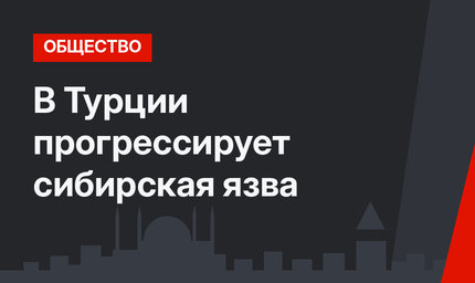 В Турции прогрессирует сибирская язва