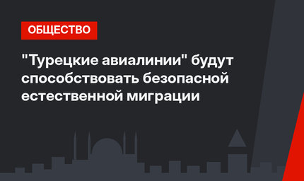 "Турецкие авиалинии"  будут способствовать безопасной естественной миграции 