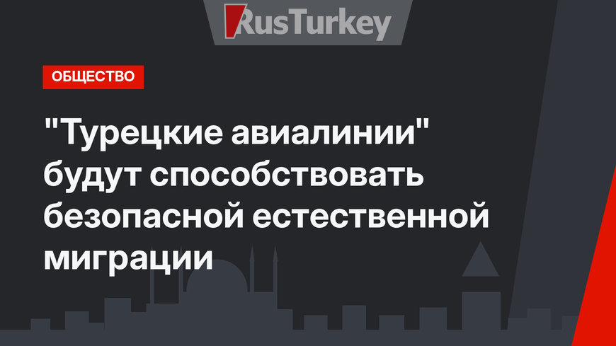"Турецкие авиалинии"  будут способствовать безопасной естественной миграции 