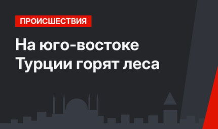 На юго-востоке Турции горят леса