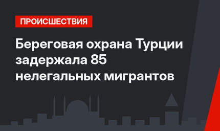 Береговая охрана Турции задержала 85 нелегальных мигрантов