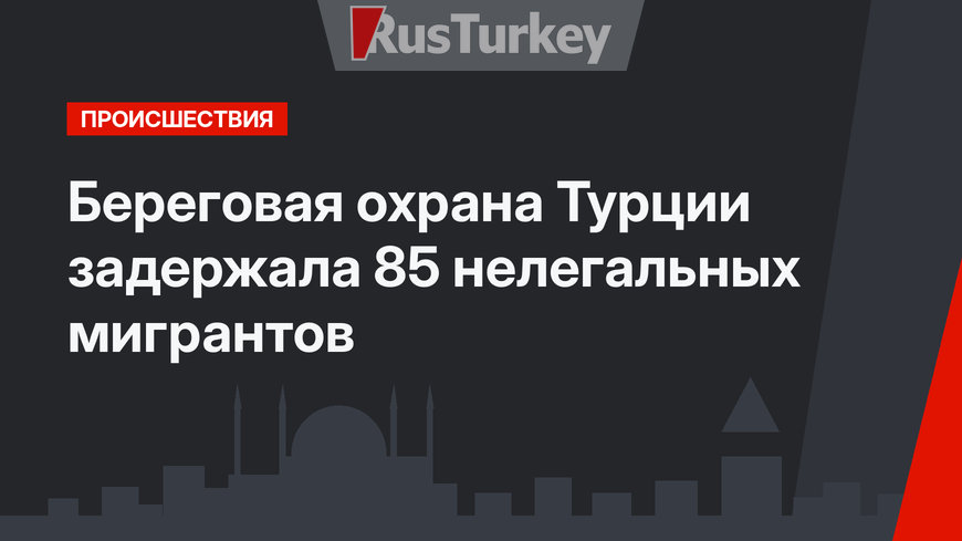 Береговая охрана Турции задержала 85 нелегальных мигрантов