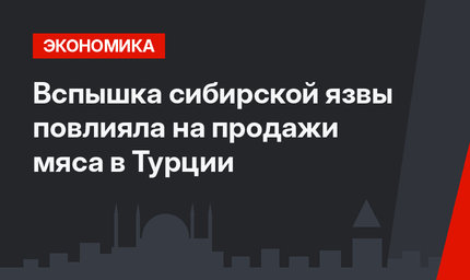 Вспышка сибирской язвы повлияла на продажи мяса в Турции