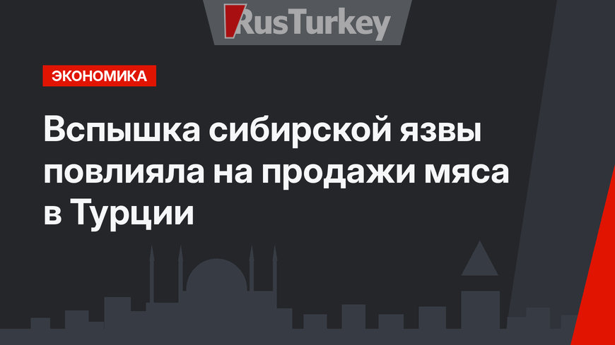 Вспышка сибирской язвы повлияла на продажи мяса в Турции