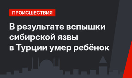 В результате вспышки сибирской язвы в Турции умер ребёнок