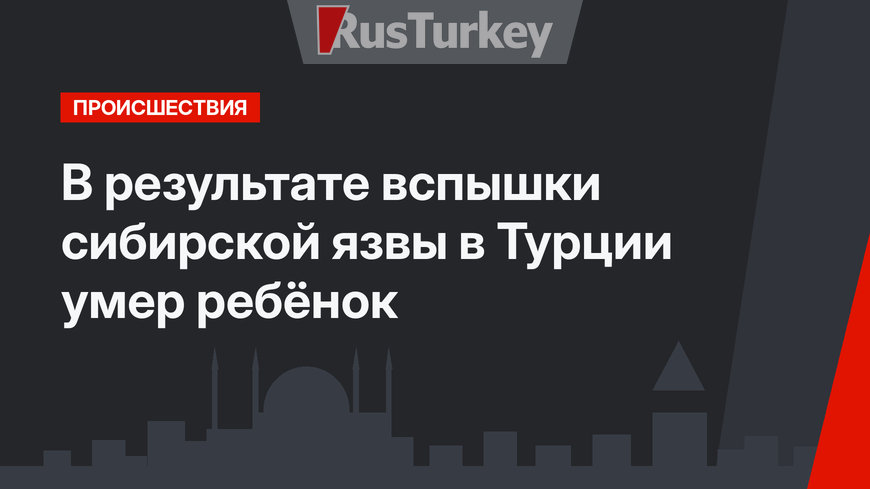 В результате вспышки сибирской язвы в Турции умер ребёнок