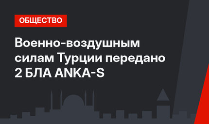Военно-воздушным силам Турции передано 2 БЛА ANKA-S