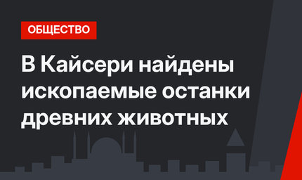 В Кайсери найдены ископаемые останки древних животных