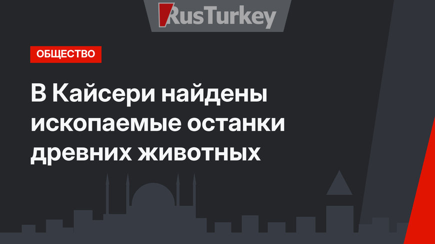 В Кайсери найдены ископаемые останки древних животных