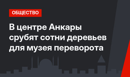 В центре Анкары срубят сотни деревьев для музея переворота