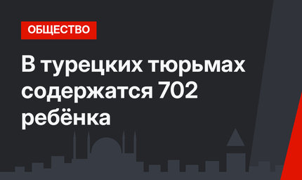 В турецких тюрьмах содержатся 702 ребёнка