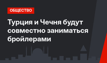 Турция и Чечня будут совместно заниматься бройлерами