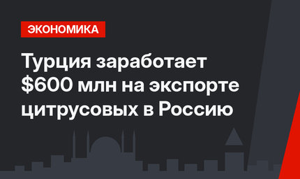 Турция заработает $600 млн на экспорте цитрусовых в Россию