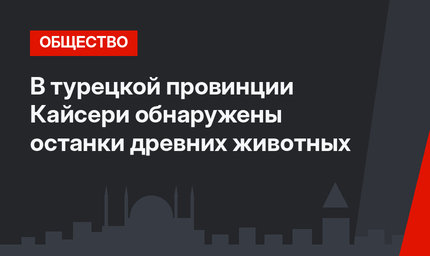 В турецкой провинции Кайсери обнаружены останки древних животных