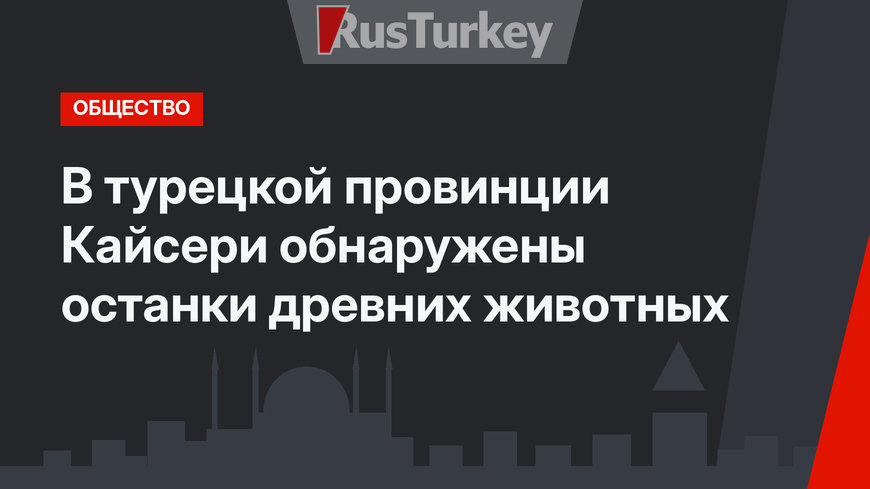 В турецкой провинции Кайсери обнаружены останки древних животных