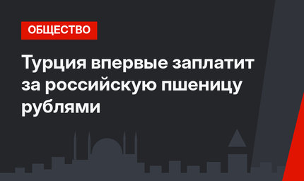 Турция впервые заплатит за российскую пшеницу рублями