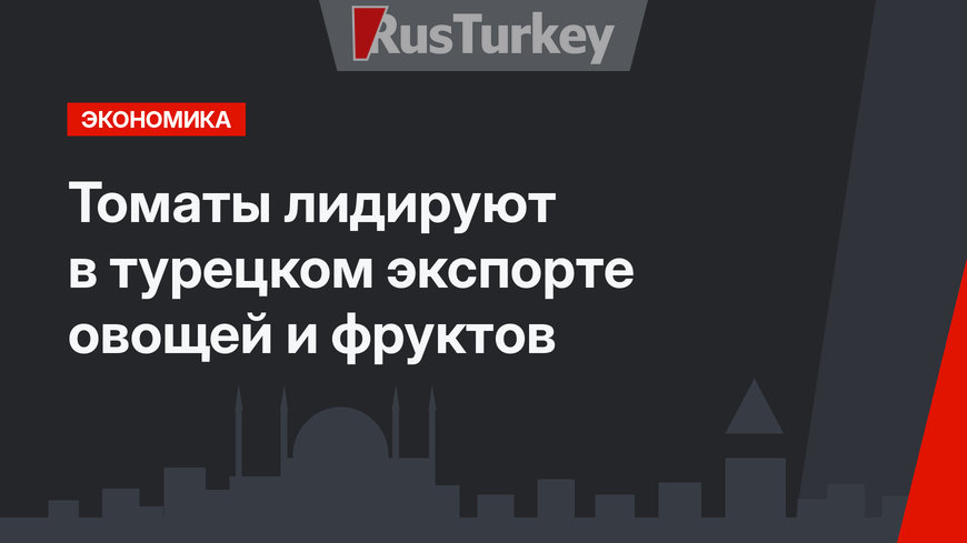 Томаты лидируют в турецком экспорте овощей и фруктов 