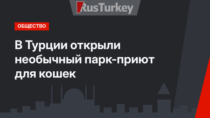 В Турции открыли необычный парк-приют для кошек