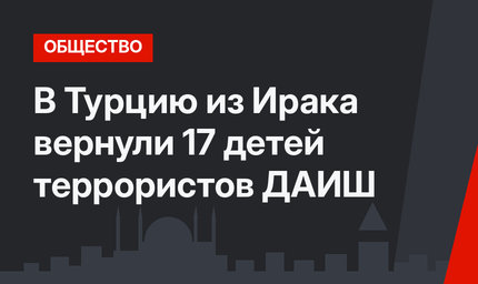 В Турцию из Ирака вернули 17 детей террористов ДАИШ