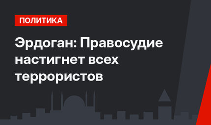 Эрдоган: Правосудие настигнет всех террористов