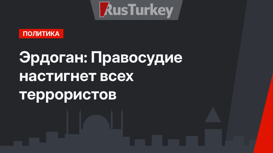 Эрдоган: Правосудие настигнет всех террористов