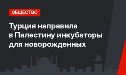 Турция направила в Палестину инкубаторы для новорожденных