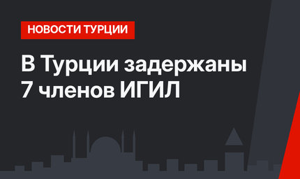 В Турции задержаны 7 членов ИГИЛ