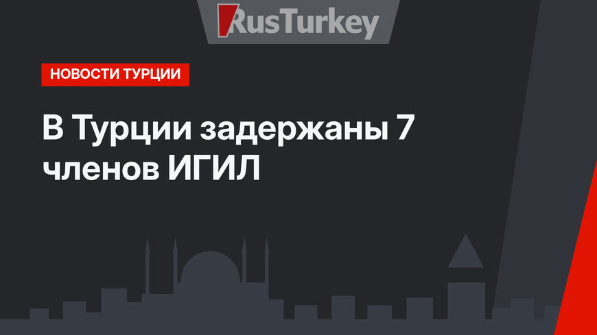 В Турции задержаны 7 членов ИГИЛ