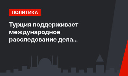 Турция поддерживает международное расследование дела Хашкаджи