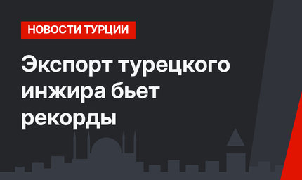 Экспорт турецкого инжира бьет рекорды