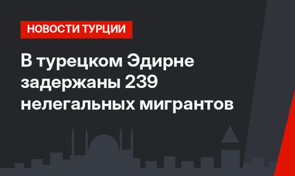 В турецком Эдирне задержаны 239 нелегальных мигрантов