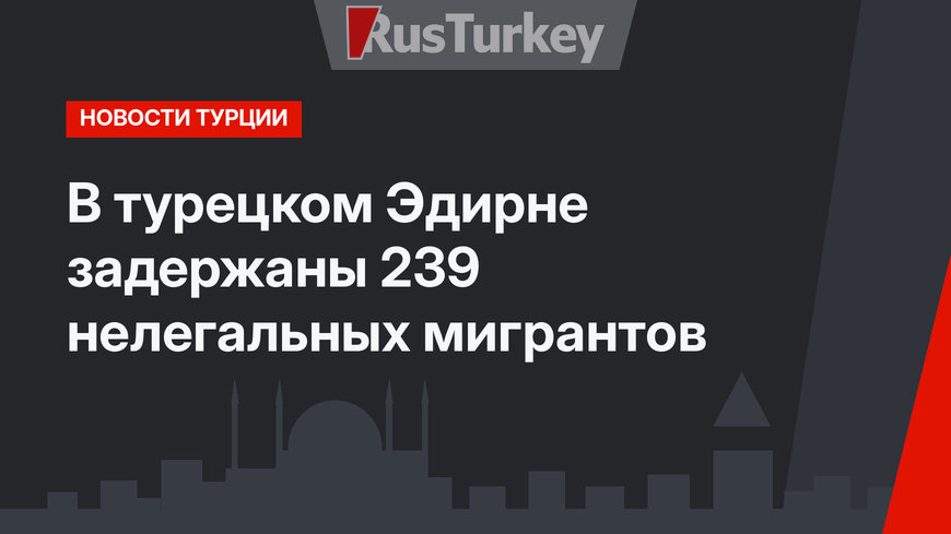 В турецком Эдирне задержаны 239 нелегальных мигрантов