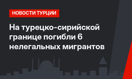 На турецко-сирийской границе погибли 6 нелегальных мигрантов