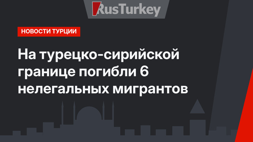 На турецко-сирийской границе погибли 6 нелегальных мигрантов