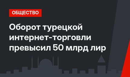 Оборот турецкой интернет-торговли превысил 50 млрд лир