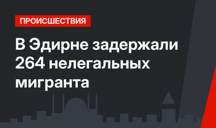 В Эдирне задержали 264 нелегальных мигранта