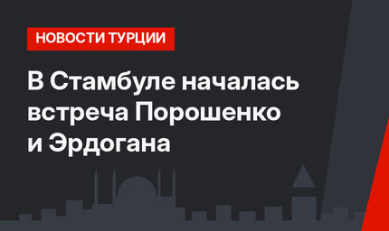 В Стамбуле началась встреча Порошенко и Эрдогана