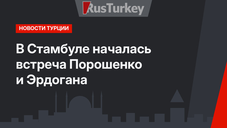 В Стамбуле началась встреча Порошенко и Эрдогана