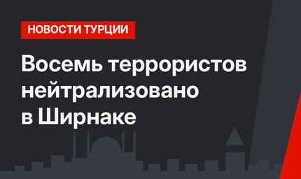 Восемь террористов нейтрализовано в Ширнаке