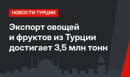 Экспорт овощей и фруктов из Турции достигает 3,5 млн тонн