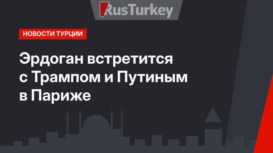 Эрдоган встретится с Трампом и Путиным в Париже 