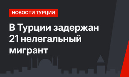 В Турции задержан 21 нелегальный мигрант