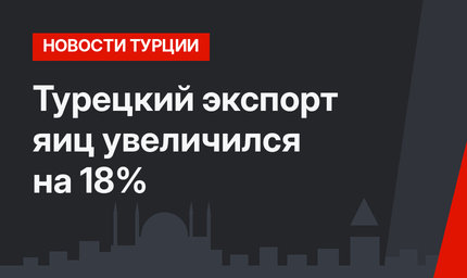 Турецкий экспорт яиц увеличился на 18%