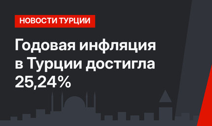 Годовая инфляция в Турции достигла 25,24%