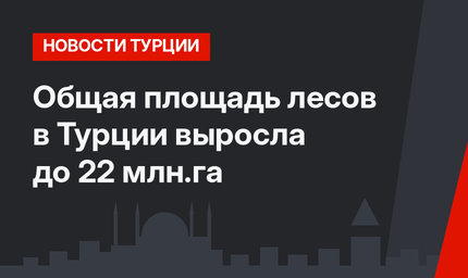 Общая площадь лесов в Турции выросла до 22 млн.га